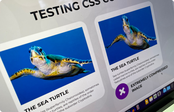 Everything You Need to Know about CSS Regression Testing